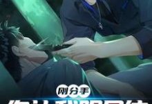 寻找能够免费阅读刚分手,你让我跟尸体打交道?小说的平台-侠客文学