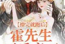 撩完就跑后，霍先生不乐意了小说，撩完就跑后，霍先生不乐意了免费阅读-侠客文学