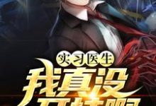 实习医生：我真没开挂啊在线章节免费阅读-侠客文学