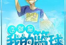 小说《这就是我的篮球》章节免费阅读-侠客文学