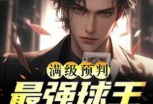 小说《满级预判,最强球王舍我其谁》章节免费阅读-侠客文学