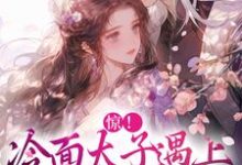 小说《惊!冷面太子遇上刁蛮女杀手》章节免费阅读-侠客文学