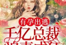 求有孕出逃：千亿总裁追妻成狂小说免费资源-侠客文学