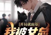 开局就面基，我被女总裁甩了小说完结版章节免费阅读-侠客文学