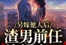 另嫁他人后，渣男前任他气疯了小说全文阅读需要付费吗？寻找免费资源-侠客文学