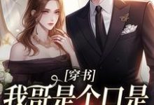 沈诺小说完结版在线阅读，穿书：我哥是个口是心非的大妹控免费看-侠客文学