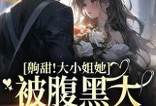 完结版《齁甜！大小姐她被腹黑大佬掐腰宠》免费阅读-侠客文学
