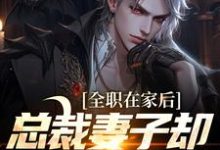 小说《全职在家后，总裁妻子却和别人缠绵》章节免费阅读-侠客文学