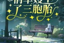 《七零:俏军嫂生了三胞胎》小说章节在线试读,《七零:俏军嫂生了三胞胎》最新章节目录-侠客文学