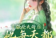 小说在线章节免费阅读（强抢夫侍后，她每天都在修罗场无弹窗无删减）-侠客文学