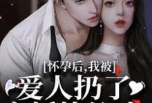 怀孕后，我被爱人扔了离婚协议书小说全文哪里可以免费看？-侠客文学