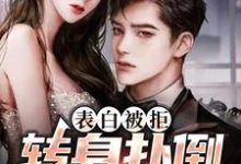 表白被拒,转身扑倒女总裁小说的免费电子版在哪里可以下载或阅读?-侠客文学