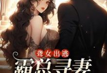 夏时陆南沉小说聋女出逃，霸总寻妻惊动全城在线阅读章节-侠客文学