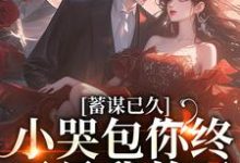 蓄谋已久,小哭包你终于是我的了言缓缓,蓄谋已久,小哭包你终于是我的了在线无弹窗阅读-侠客文学