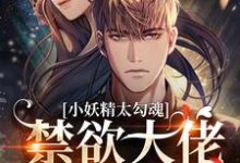 小妖精太勾魂,禁欲大佬受不了雾烟顾擎苍小说在线章节目录阅读最新章节-侠客文学
