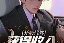 已完结小说《开局代驾,获得收入十万倍奖励!》最新章节-侠客文学