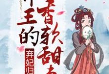 弃妃归来：邪王的香软甜妻（李锦悠季君灏）在线免费阅读-侠客文学