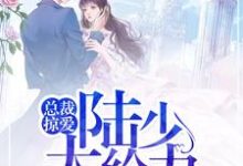 总裁掠爱：陆少，太给力小说，总裁掠爱：陆少，太给力最新章节-侠客文学