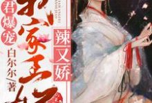 邪君爆宠：我家王妃辣又娇（叶蓁萧宸夜）在线免费阅读-侠客文学