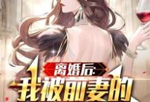 完结版《离婚后:我被前妻的天后闺蜜倒追》章节阅读-侠客文学