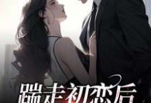 《踹走初恋后,我被疯狂打脸》小说大结局免费试读 苏景禾黎嘉烁小说-侠客文学