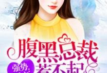 哪里可以免费找到腹黑总裁惹不起？-侠客文学