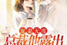 哪里能找到宠妻无度:总裁他露出狐狸尾巴了小说的全部章节?-侠客文学