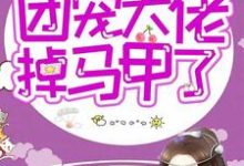 在线寻找快穿：团宠大佬掉马甲了小说的无删减版本-侠客文学