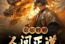 完结版《命如蜉蝣：人间正道是长生》免费阅读-侠客文学