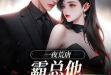 一夜荒唐，霸总他做我真靠山小说的所有章节都能在哪里免费读到？-侠客文学