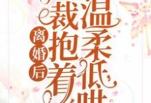 离婚后,总裁抱着前妻温柔低哄厉柏琛夏千歌小说在线章节免费阅读-侠客文学