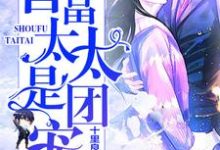 首富太太是团宠小说，首富太太是团宠沈南枝薄司南-侠客文学