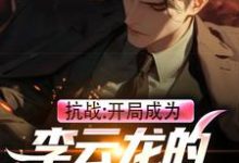 完结版《抗战:开局成为李云龙的军火供应商》章节阅读-侠客文学