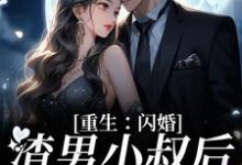 重生:闪婚渣男小叔后,她赢麻了最新章节,重生:闪婚渣男小叔后,她赢麻了章节在线阅读-侠客文学