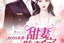 BOSS来袭：甜妻一胎双宝苏沫沫厉司夜，BOSS来袭：甜妻一胎双宝章节在线阅读-侠客文学