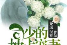 小说《司少的枕上宠妻》章节阅读-侠客文学