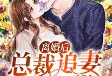 离婚后，总裁追妻有点甜最新章节，离婚后，总裁追妻有点甜免费阅读-侠客文学