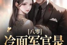 求八零:冷面军官是宠妻狂魔小说的全文免费阅读链接-侠客文学