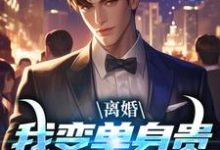 求离婚：我变单身贵族强势追爱小说的全文免费阅读链接-侠客文学