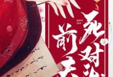 已完结小说《重生后嫁给了前夫死对头》在线章节阅读-侠客文学