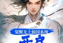 觉醒无上仙国系统,开启逆袭人生徐病纪沅小说免费阅读-侠客文学