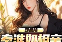 小说《四合院:秦淮如相亲,我截胡》章节阅读-侠客文学