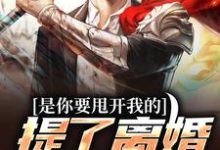 是你要甩开我的,提了离婚你哭啥?纸上飞雪小说免费阅读-侠客文学