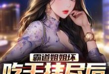 已完结小说《霸道姐姐坏,吃干抹尽后不认人了》最新章节-侠客文学