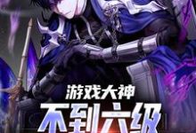 温良Rita小说游戏大神:不到六级,你要越塔杀我在线阅读章节-侠客文学