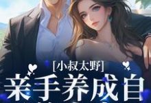 小说《小叔太野，亲手养成自己的小妻子》章节免费阅读-侠客文学