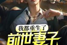 我都重生了,前世妻子才说爱我?小说的免费阅读版本在哪里可以找到?-侠客文学
