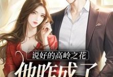 完结版《说好的高岭之花,他咋成了偏执疯子》在线免费阅读-侠客文学