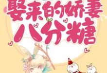 甜蜜诱饵:娶来的娇妻八分糖小说全文阅读需要付费吗?寻找免费资源-侠客文学