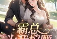 寻找霸总为我撑腰,我哐哐虐渣小说的最新更新章节-侠客文学